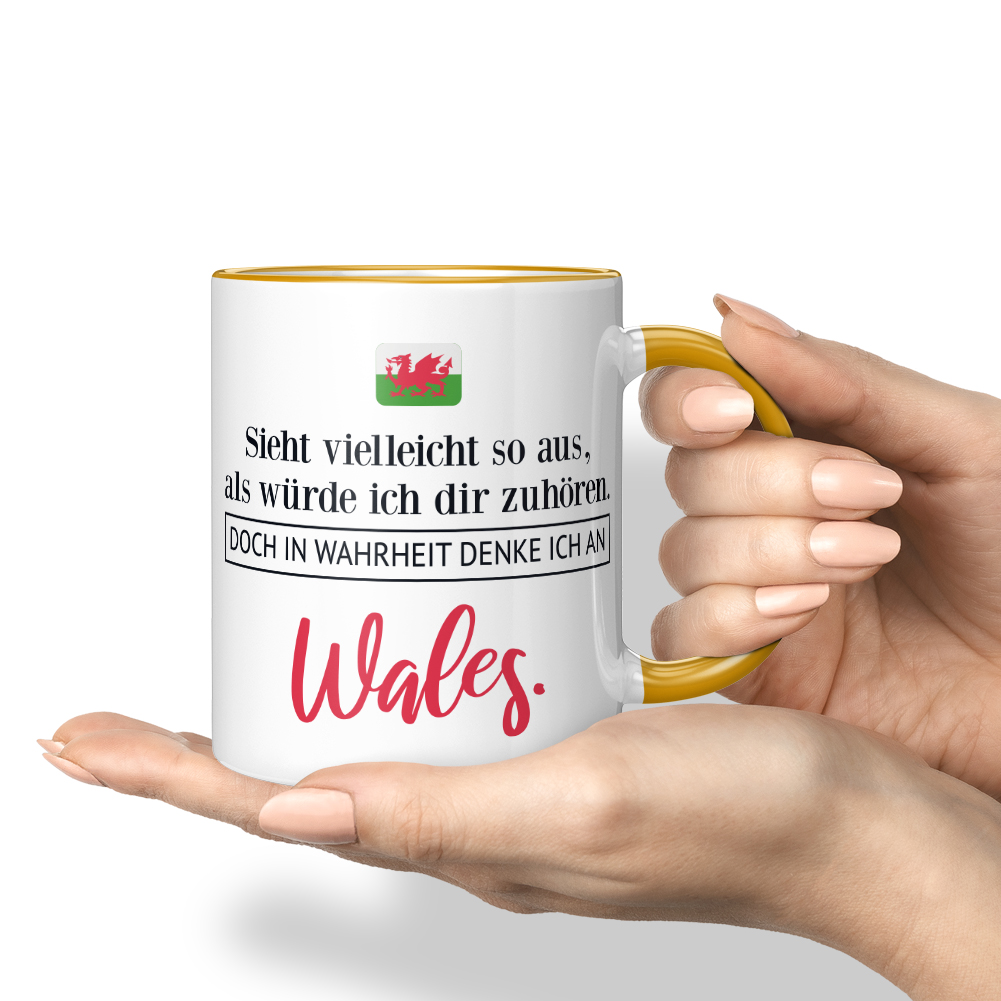 Sieht so aus, als würde ich zuhören. In Wahrheit denke an Wales 10001001335