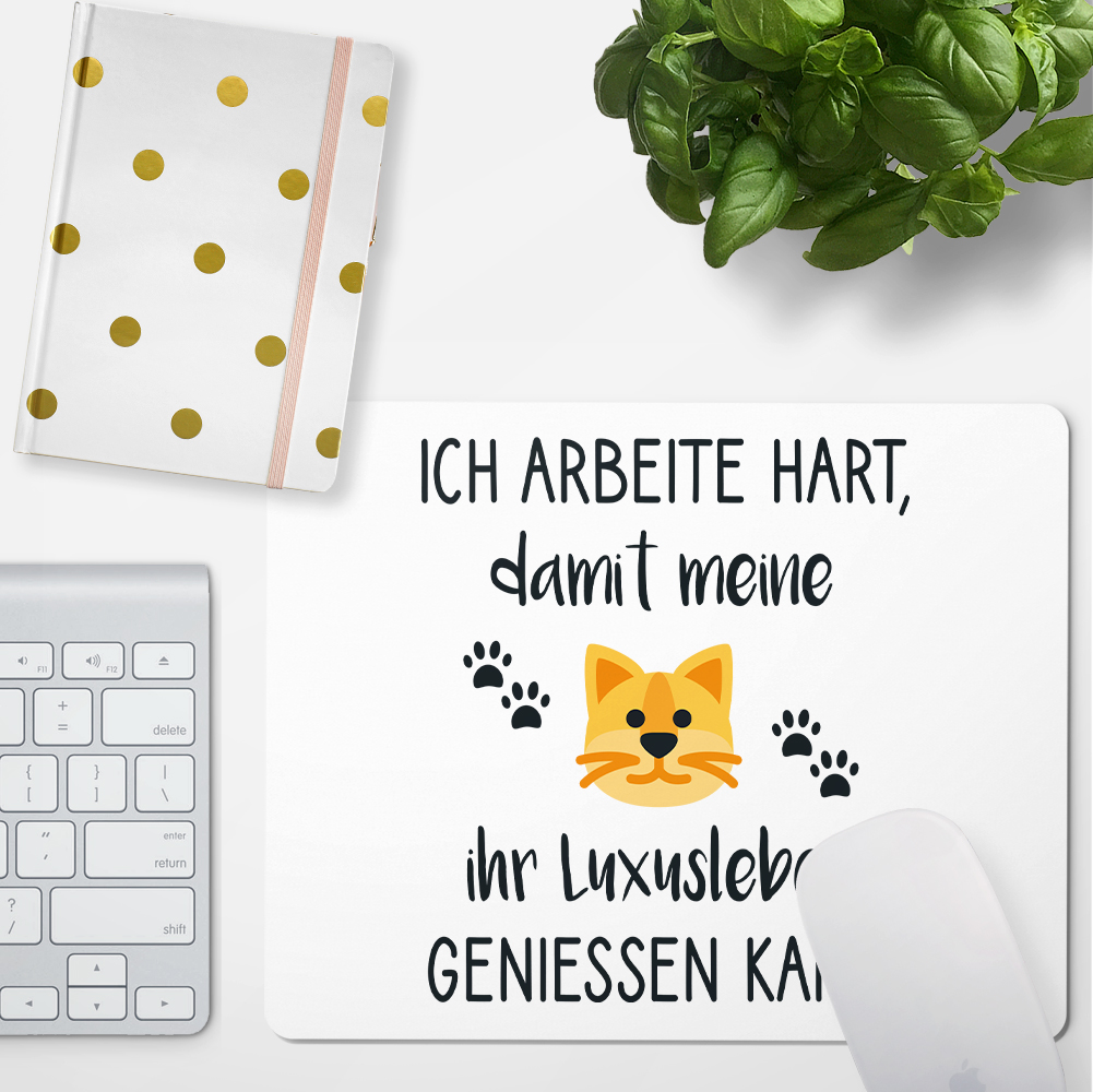 Bild 3 von 3