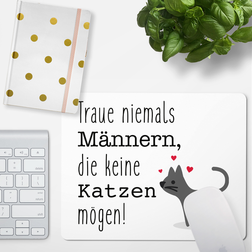 Bild 3 von 3