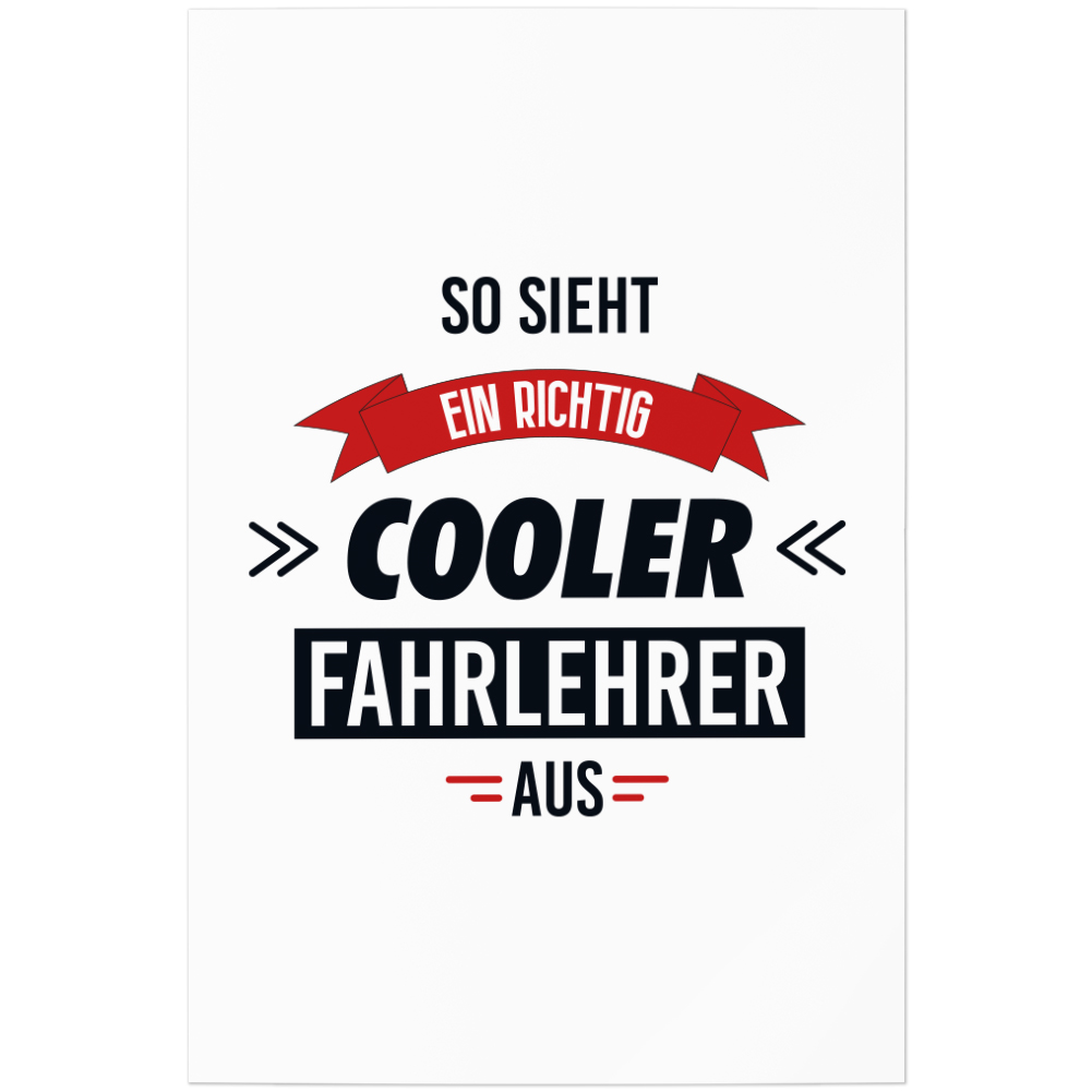 SO SIEHT EIN richtig cooler Fahrlehrer aus 11001000467 EUR 9,90