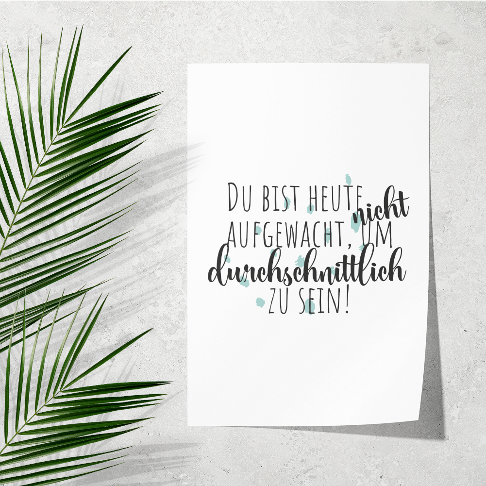 Bild 2 von 12