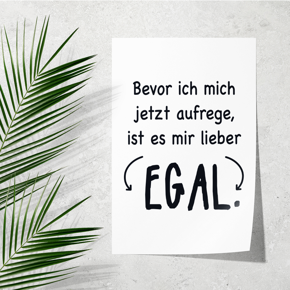 Bild 2 von 12