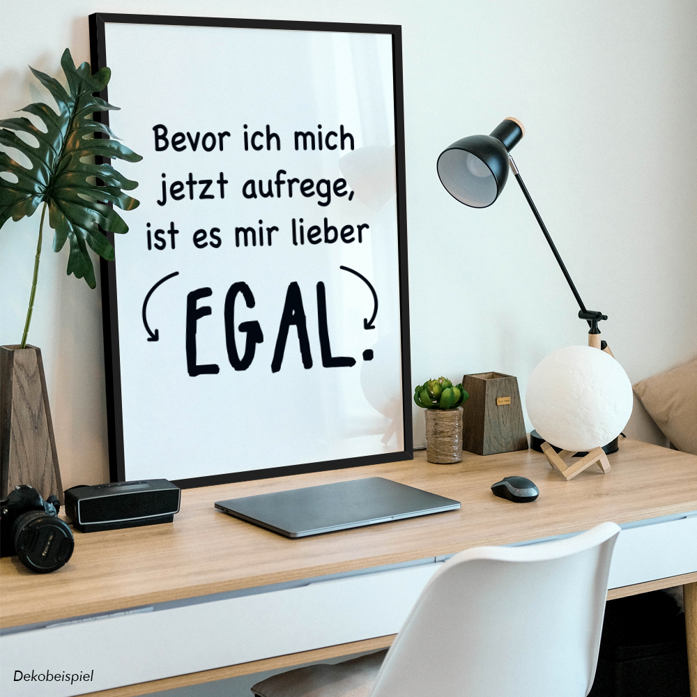 Bild 3 von 12